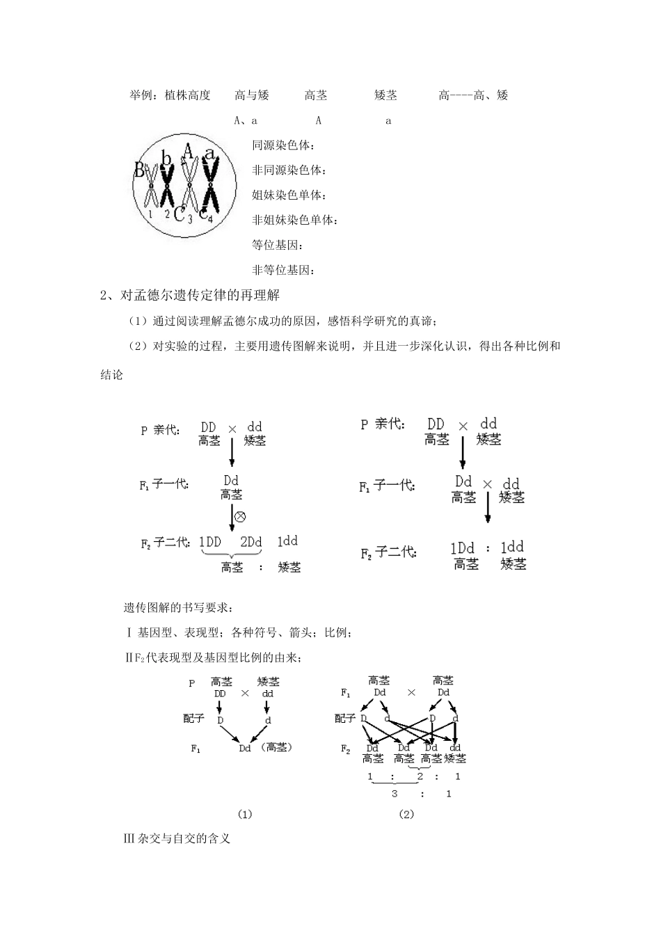 高考生物 孟德尔豌豆杂交实验（一）教案 新人教版_第2页