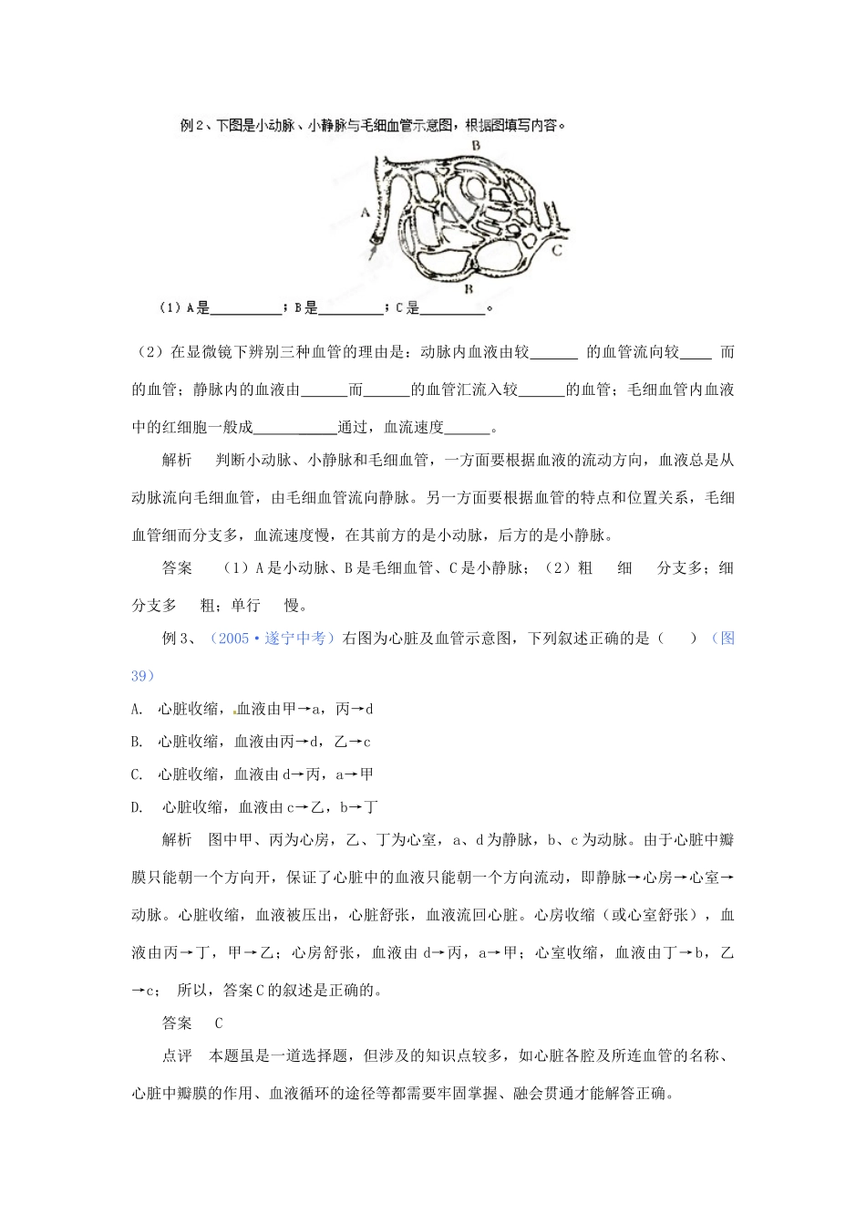 山东省临沂市蒙阴县第四中学七年级生物下册 4.4 人体内物质的运输复习学案 （新版）新人教版_第3页