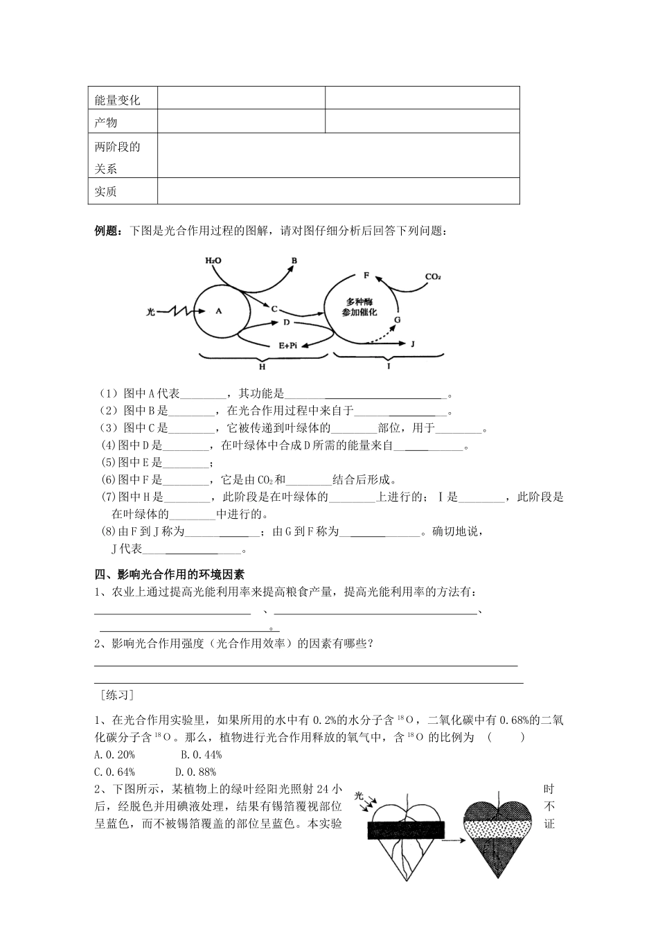 高中生物 4-2光合作用教案（学生版） 必修1_第3页