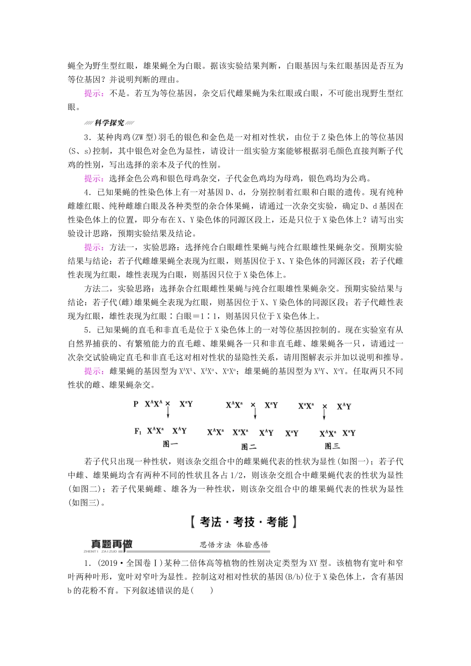（通用版）高考生物二轮复习 第1部分 专题6 遗传定律、伴性遗传和人类遗传病 考点2 伴性遗传和人类遗传病教案-人教版高三全册生物教案_第3页