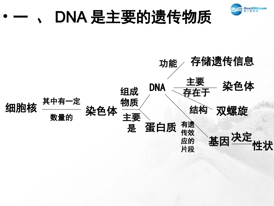 山东省临沂市蒙阴县第四中学八年级生物下册 第七单元 第二章 生物的遗传与变异复习课件 （新版）新人教版_第2页