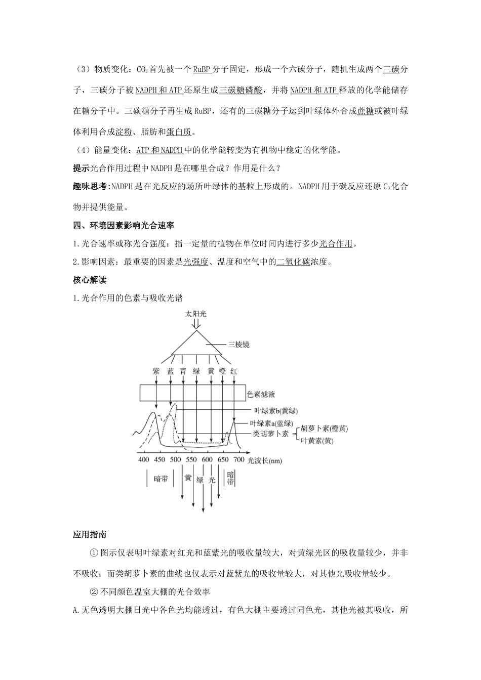 高中生物 第五节光合作用辅导教案 浙科版_第2页