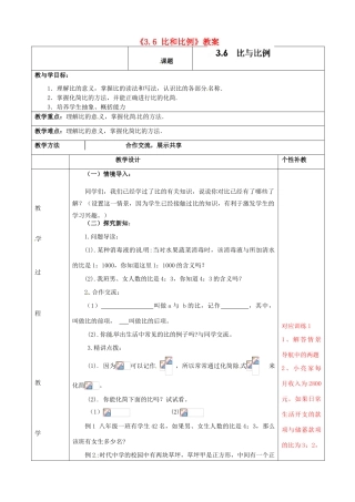 山东省肥城市安站中学八年级数学上册《3.6 比和比例》（第1课时）教案 青岛版