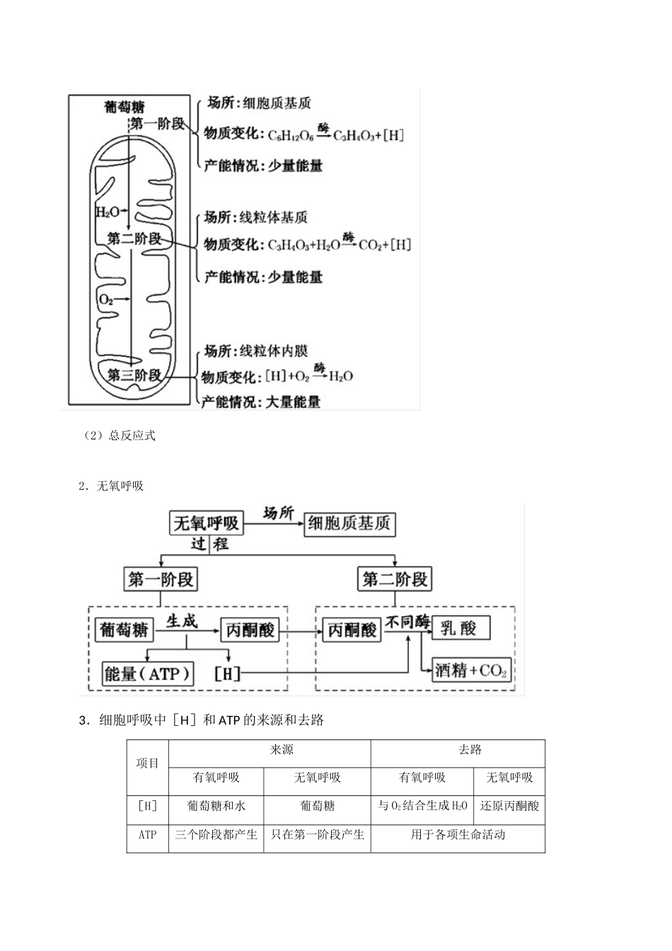 高考生物二轮复习 专题05 光合作用与细胞呼吸（讲）（含解析）-人教版高三全册生物教案_第2页