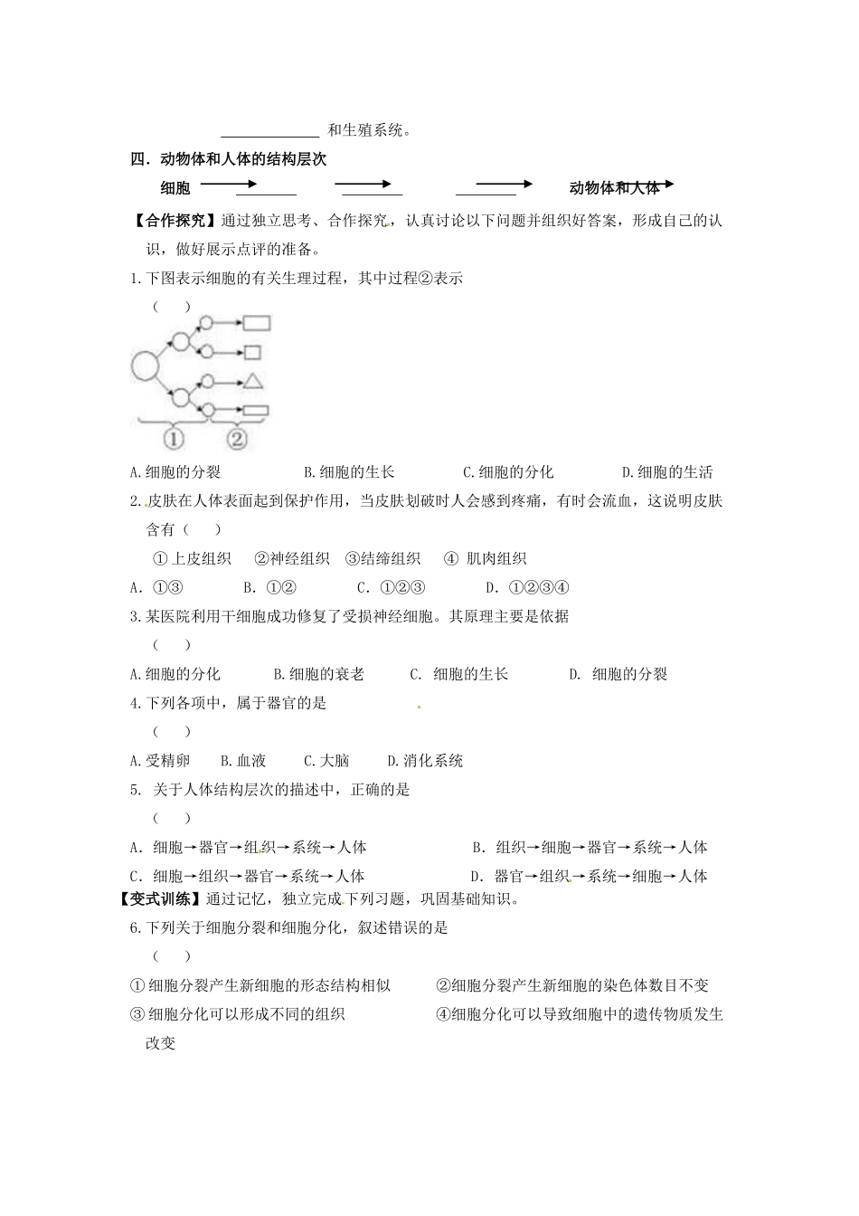 七年级生物上册 2.2.2 动物体的结构层次导学案（无答案）（新版）新人教版_第2页