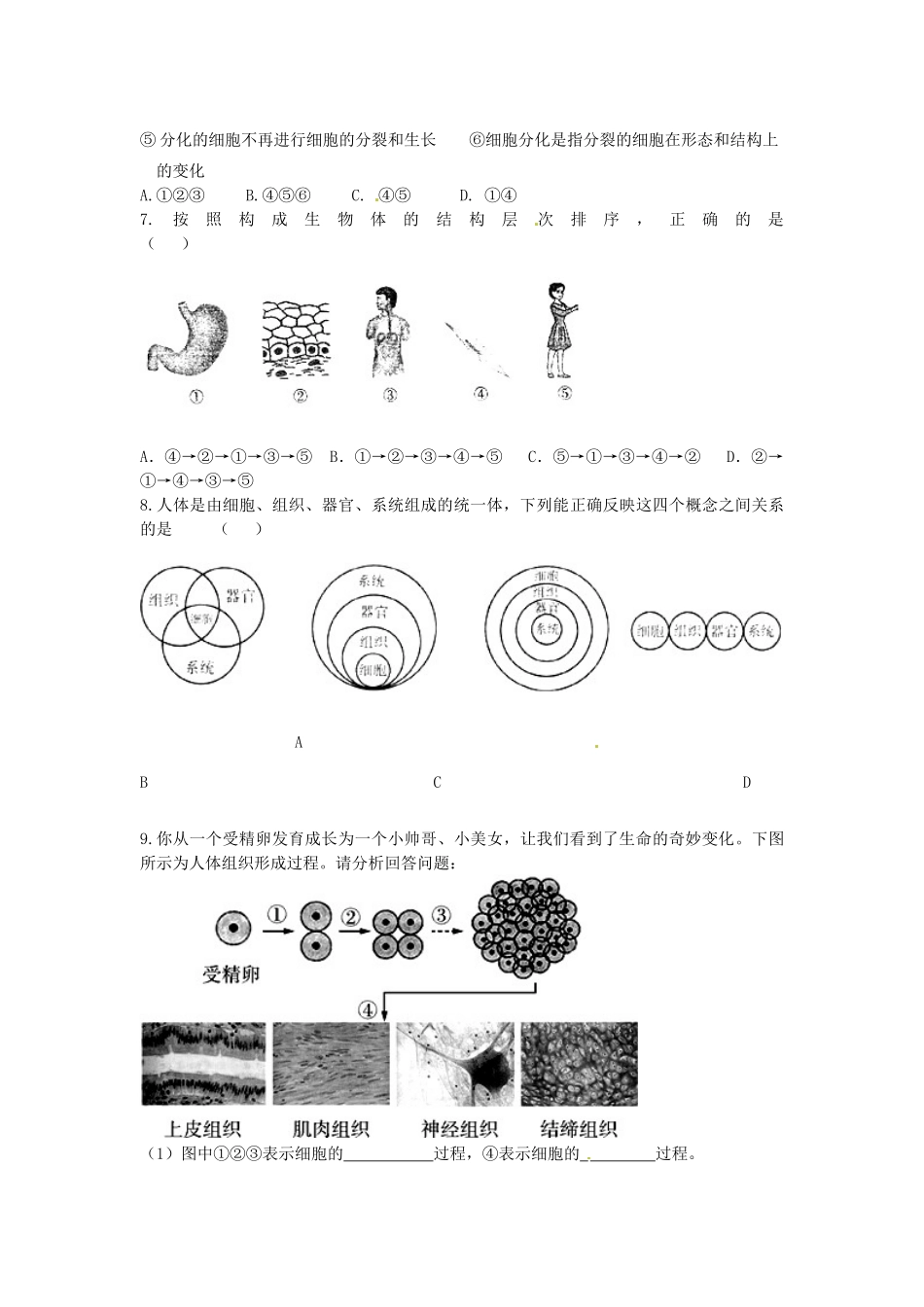 七年级生物上册 2.2.2 动物体的结构层次导学案（无答案）（新版）新人教版_第3页