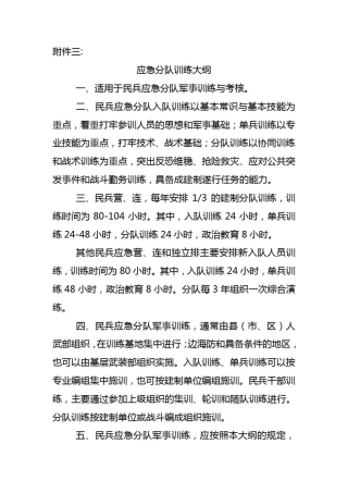 应急分队训练大纲