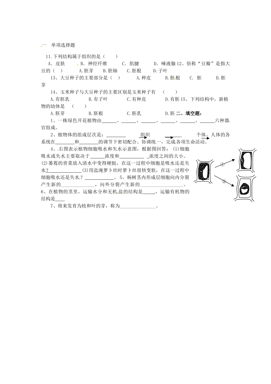七年级生物上册 第4章 生物体的组成单元评估教案 苏教版-苏教版初中七年级上册生物教案_第3页