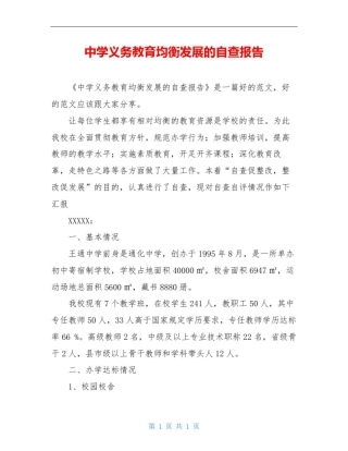 中学义务教育均衡发展的自查报告