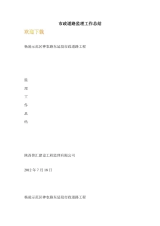 市政道路监理工作总结_1