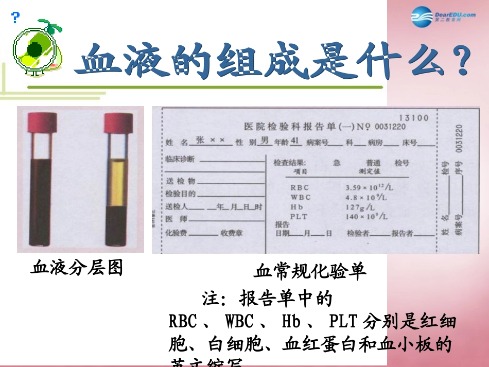 山东省肥城市王庄镇初级中学七年级生物下册 4.4.1 流动的组织—血液课件 新人教版_第3页