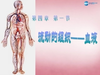 山东省肥城市王庄镇初级中学七年级生物下册 4.4.1 流动的组织—血液课件 新人教版