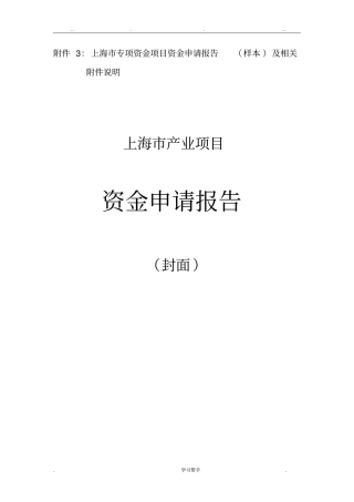 政府项目申报书样例模板