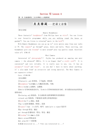 高中英语 Unit 10 Money Section Ⅵ Lesson 4教案（含解析）北师大版必修4-北师大版高一必修4英语教案