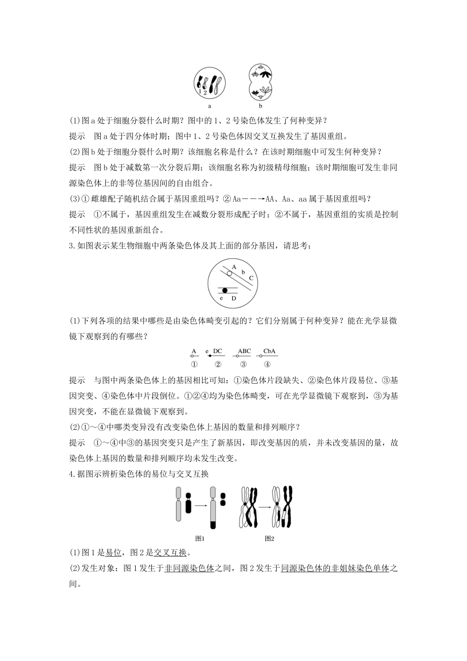 （浙江专版）高考生物一轮复习 第六单元 生物的变异与进化 第19讲 生物的变异与育种教案-人教版高三全册生物教案_第3页