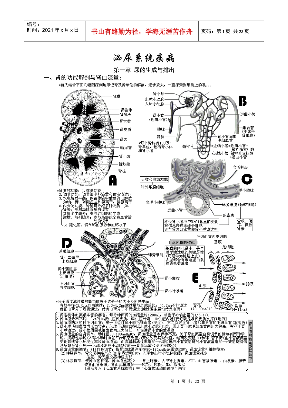 XXXX年西医综合·泌尿系统疾病(生理+病理+内科+外科)_第1页