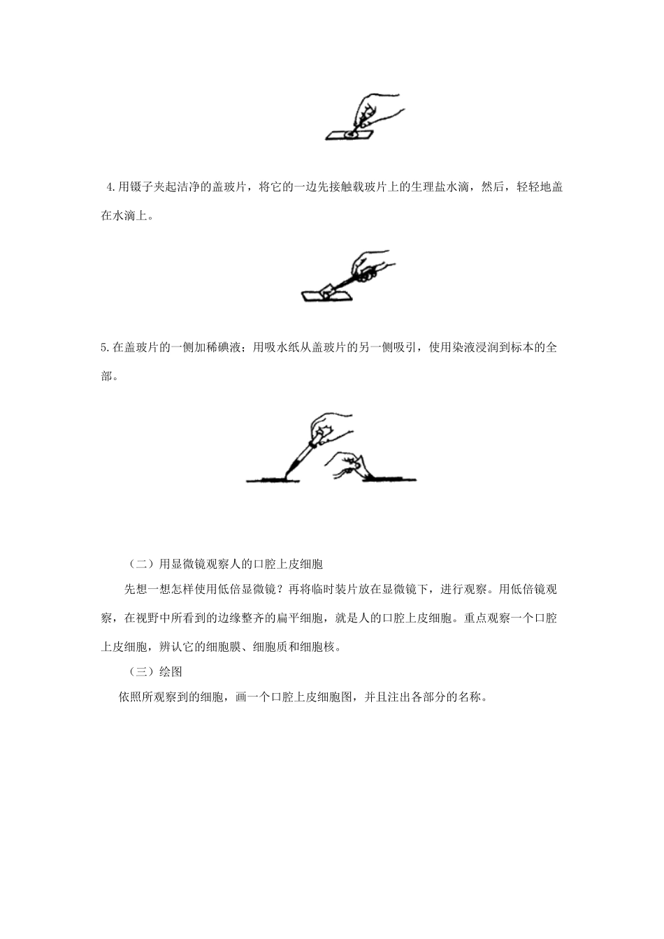 七年级生物上册 3.1 人和动物的细胞结构和功能1教案 苏教版_第2页
