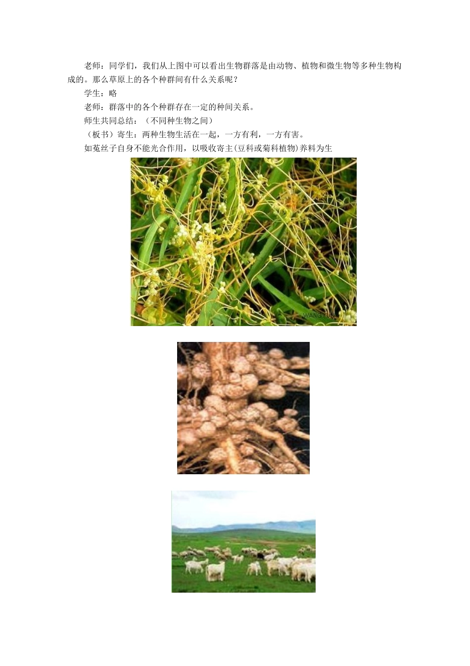 高中生物 第二单元 生物群体的稳态与调节 第二章 群落的稳态与调节 2.2.1 群落的基本特征与结构（第3课时）教案 中图版必修3-中图版高二必修3生物教案_第3页