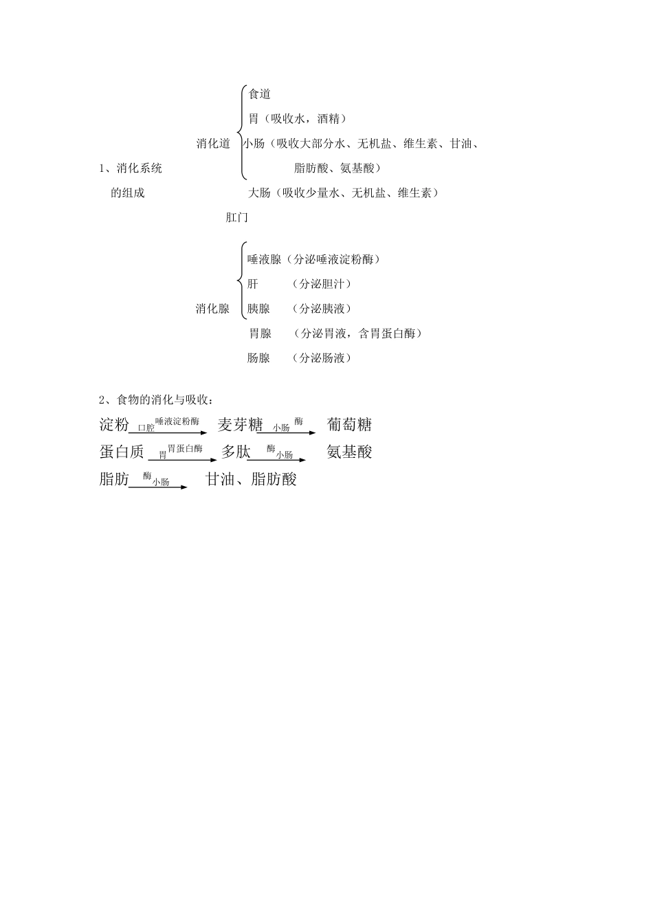 七年级生物下册 第九章 第二节 人体的消化与吸收教案 苏教版_第3页