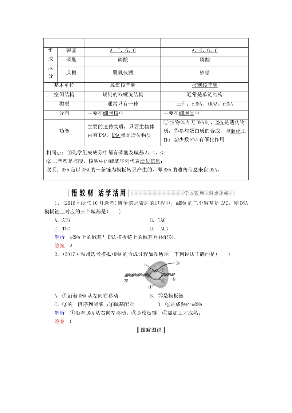 高中生物 第三章 遗传的分子基础 第14课时 遗传信息的表达——RNA和蛋白质的合成教案（必修2）-人教版高中必修2生物教案_第2页