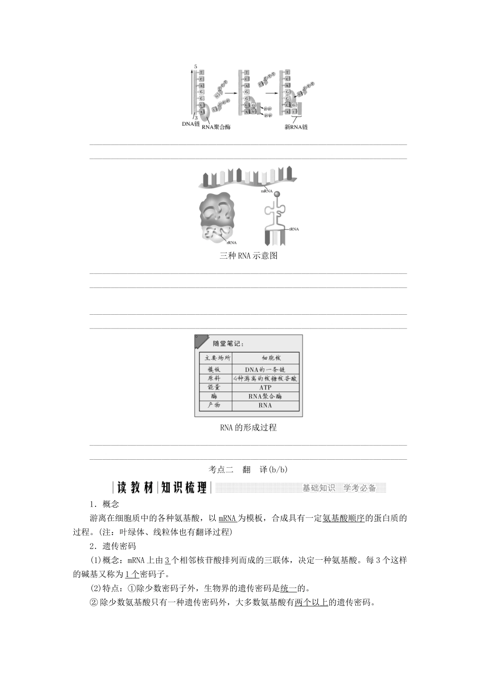 高中生物 第三章 遗传的分子基础 第14课时 遗传信息的表达——RNA和蛋白质的合成教案（必修2）-人教版高中必修2生物教案_第3页