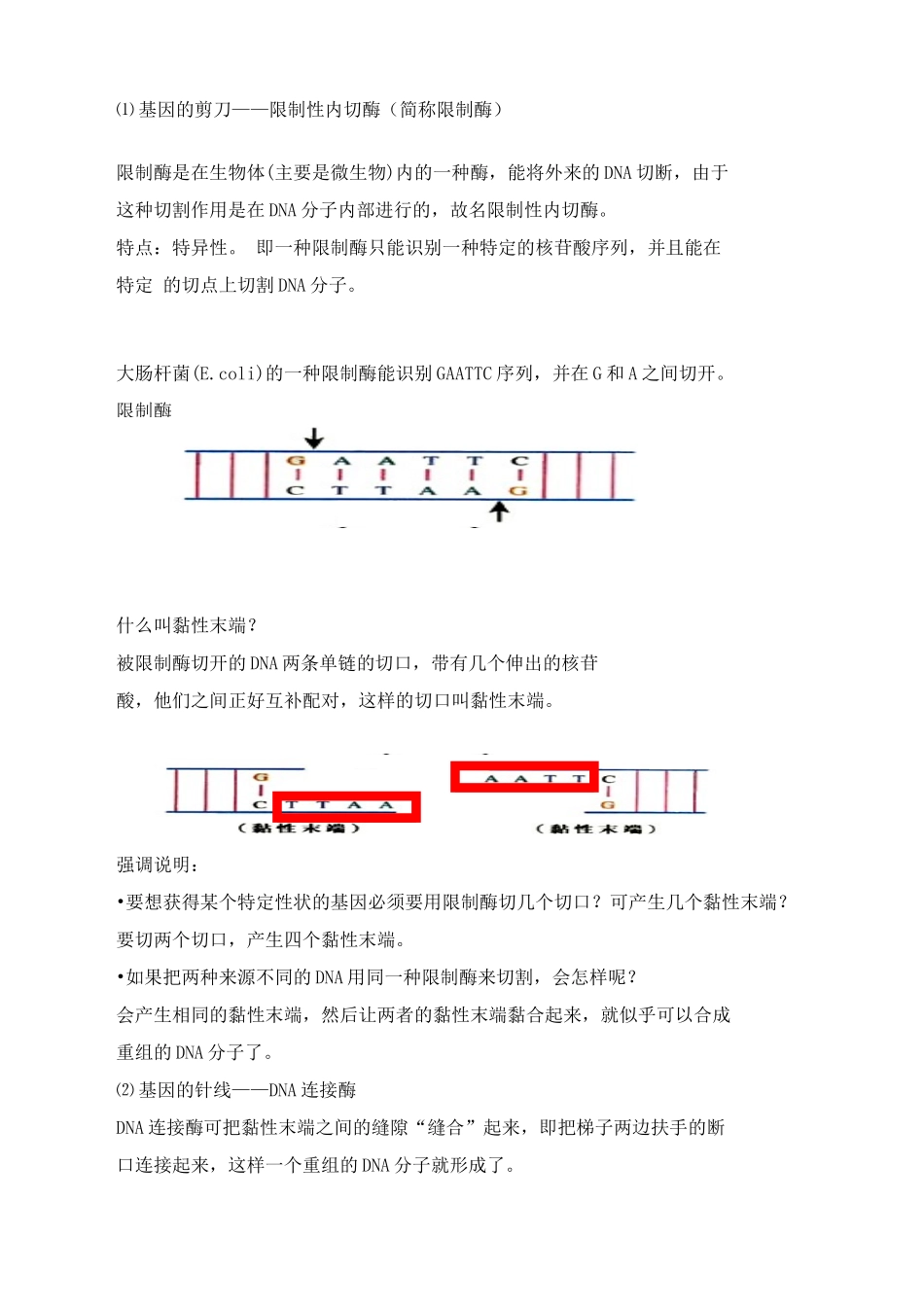 高中生物基因工程简介教案2旧人教 选修_第3页