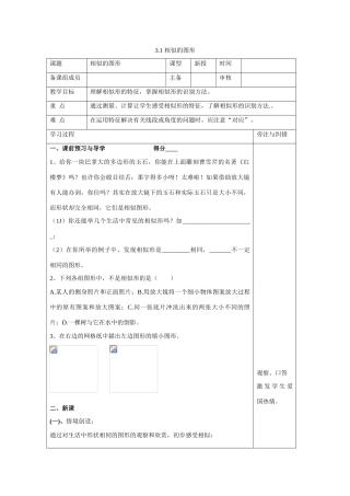 九年级数学上册3.1 相似的图形3教案湘教版