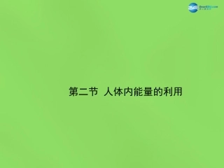 七年级生物下册 第二章 第2节《人体内能量的利用》课件 （新版）济南版