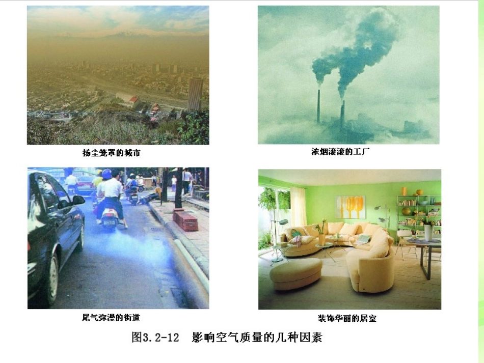 七年级生物下册 3.2.3 呼吸保健与急救课件 （新版）济南版_第3页