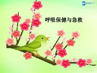 七年级生物下册 3.2.3 呼吸保健与急救课件 （新版）济南版