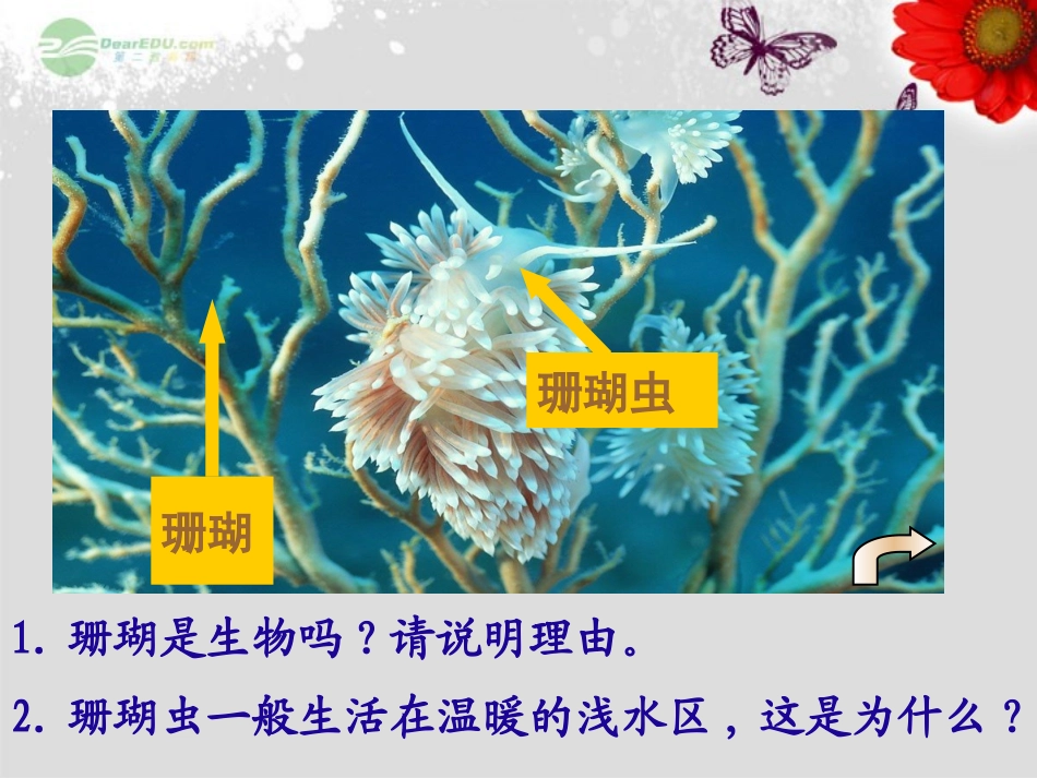 七年级生物上册 1.1.2 调查周边环境中的生物课件 （新版）新人教版_第2页