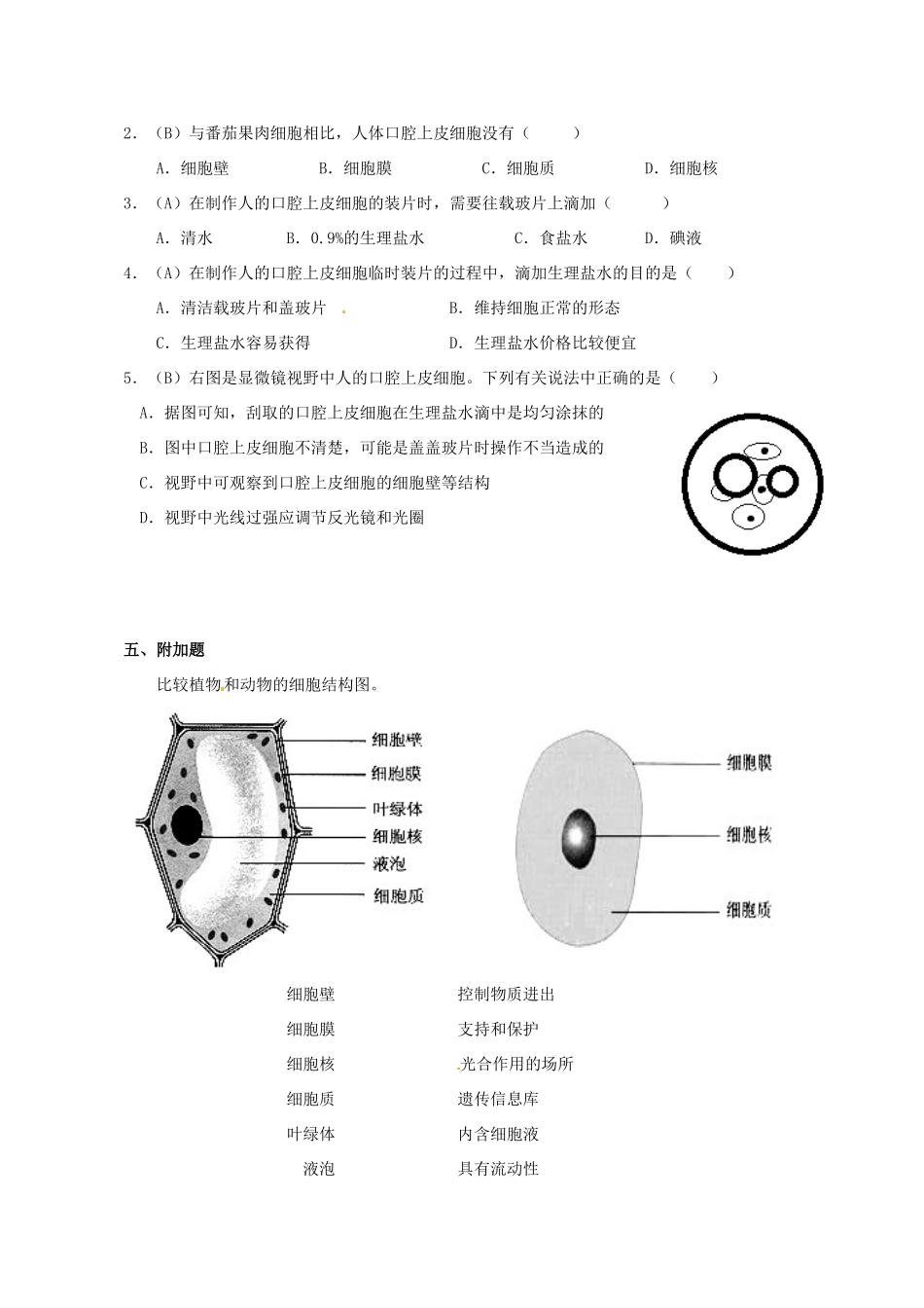 七年级生物上册 2.1.3 动物细胞导学案（无答案）（新版）新人教版_第3页