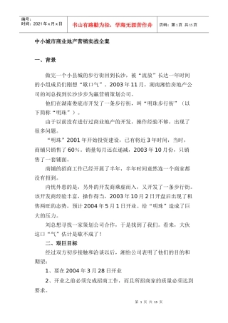 中小城市商业地产营销实战全案