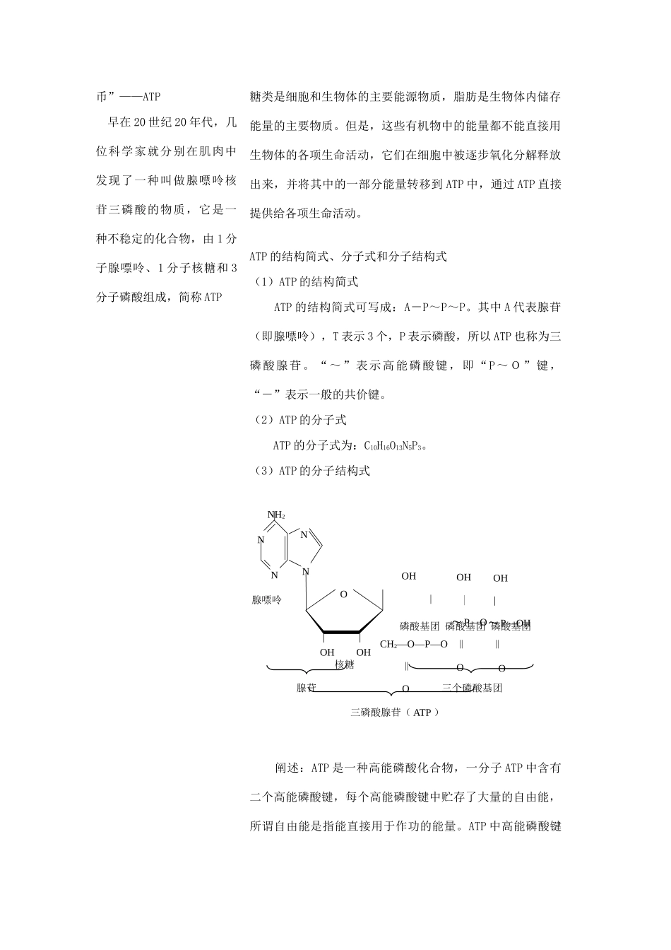 高中生物《ATP和酶》教案6 苏教版必修1_第2页