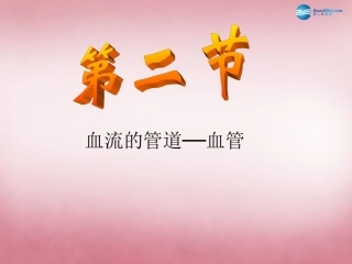 山东省肥城市王庄镇初级中学七年级生物下册 4.4.2 血流的管道—血管课件 新人教版