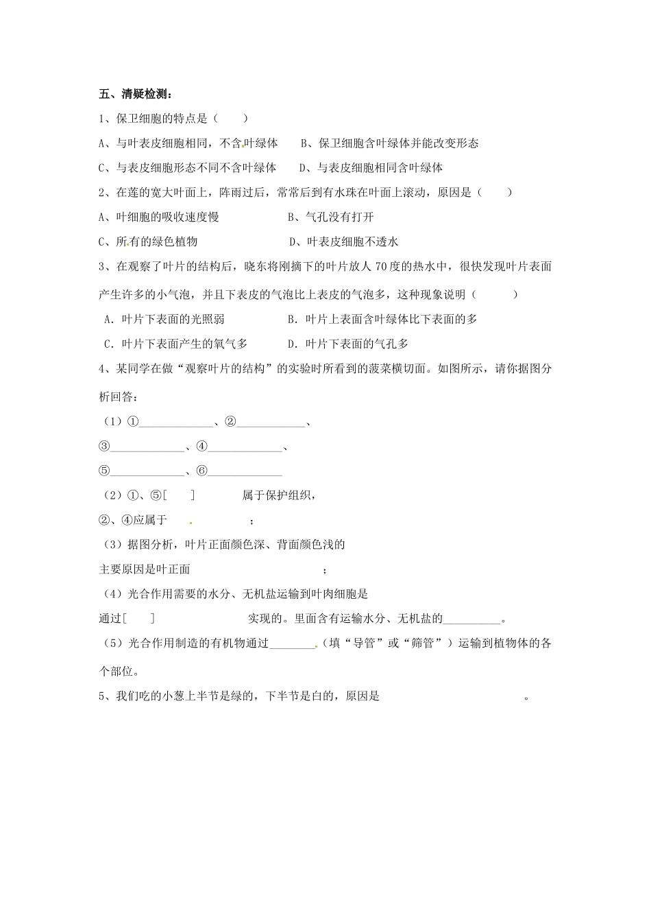 辽宁省辽阳市第九中学七年级生物上册《3.6.2 植物光合作用的场所》学案（无答案） 新人教版_第2页