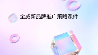金威新品牌推广策略课件
