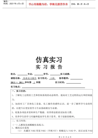 化工仿真实习报告书