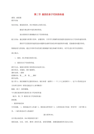 山东省烟台市黄务中学八年级生物下册 第二节 基因在亲子代间的传递教案 鲁教版五四制