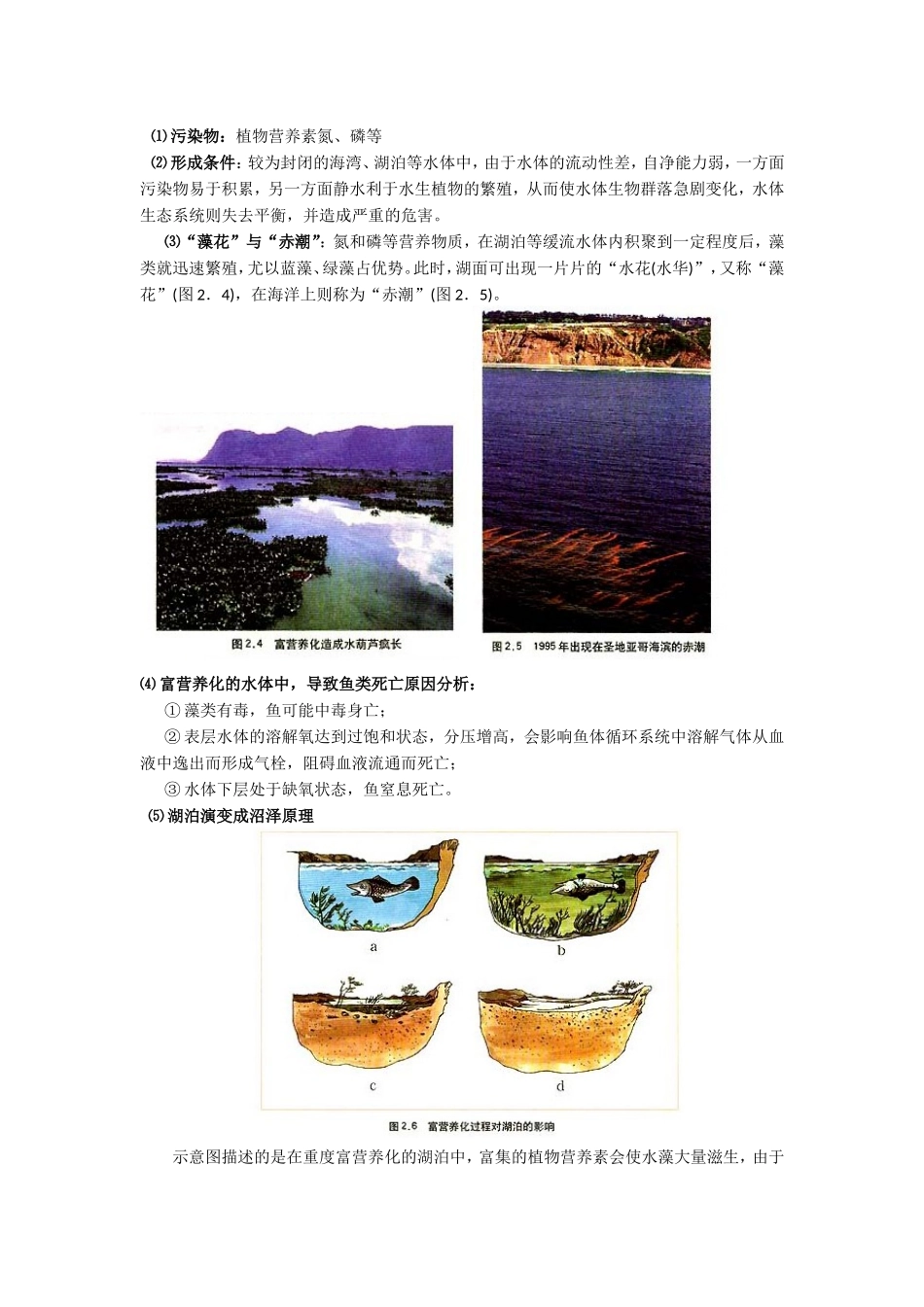 第一节水污染极其成因_第3页