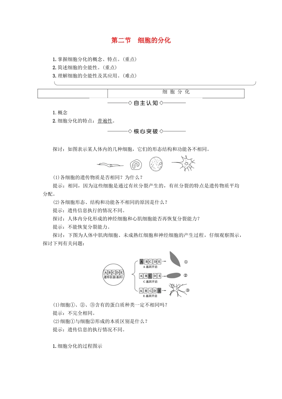 高中生物 第4单元 第1章 第2节 细胞的分化教案 中图版必修1-中图版高中必修1生物教案_第1页