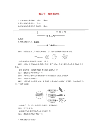 高中生物 第4单元 第1章 第2节 细胞的分化教案 中图版必修1-中图版高中必修1生物教案