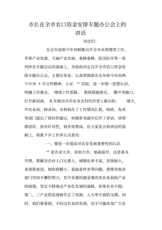 市长在全市农口资金安排专题办公会上的讲话