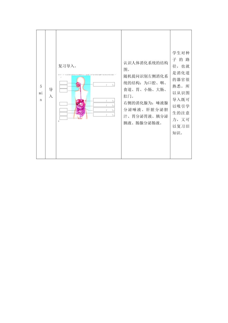 秋七年级生物下册 9.2 人体的消化与吸收（第2课时）教学设计 （新版）苏教版-（新版）苏教版初中七年级下册生物教案_第2页