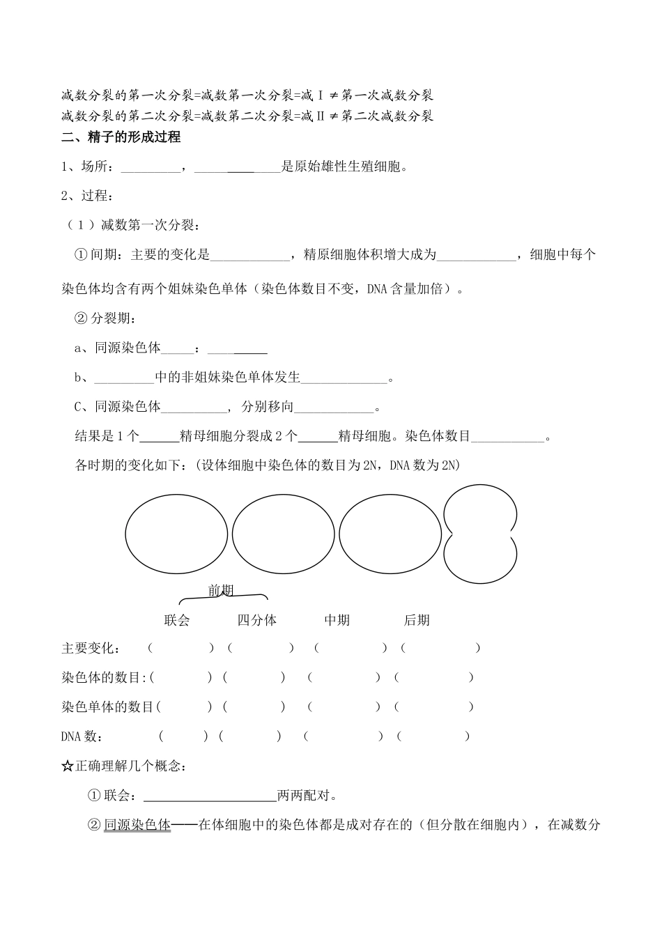 高二生物 减数分裂和受精作用_第2页