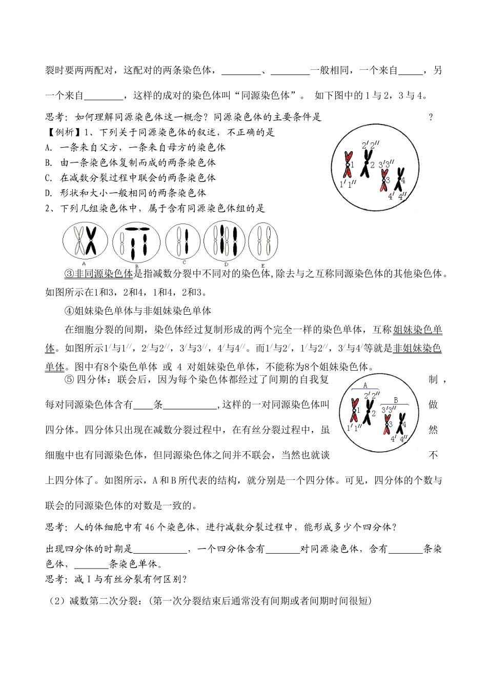 高二生物 减数分裂和受精作用_第3页