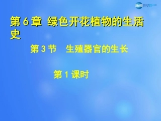 七年级生物上册 第6章 第3节 生殖器官的生长课件1 北师大版