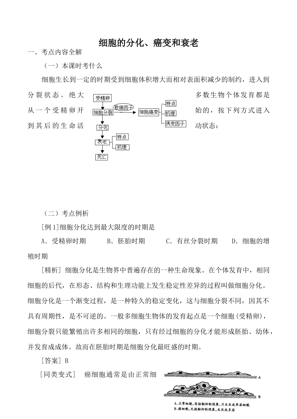 高中生物细胞的分化、癌变和衰老人教版必修一_第1页