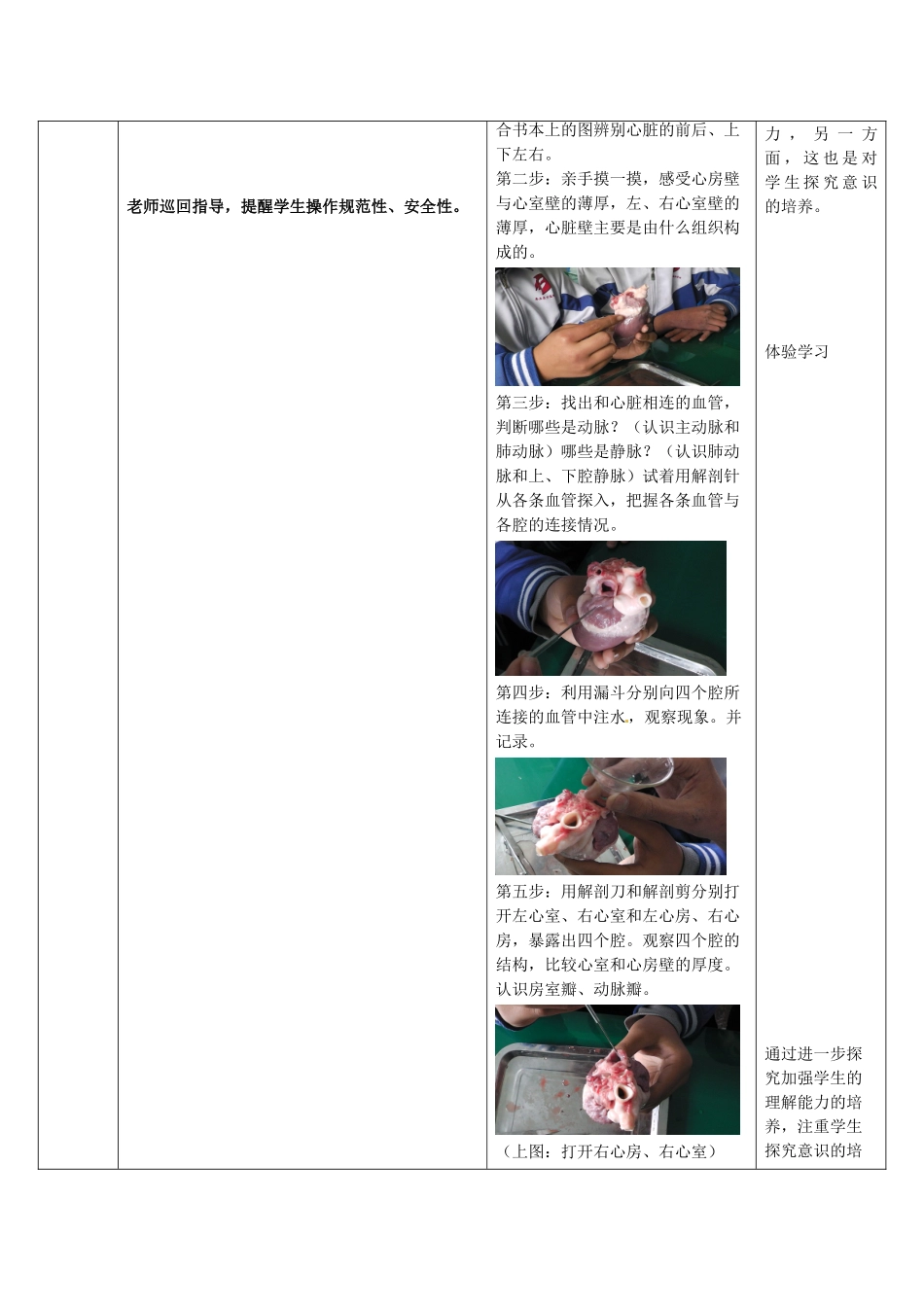 七年级生物下册 3.3.2 物质运输的器官教案（2）（新版）济南版-（新版）济南版初中七年级下册生物教案_第3页