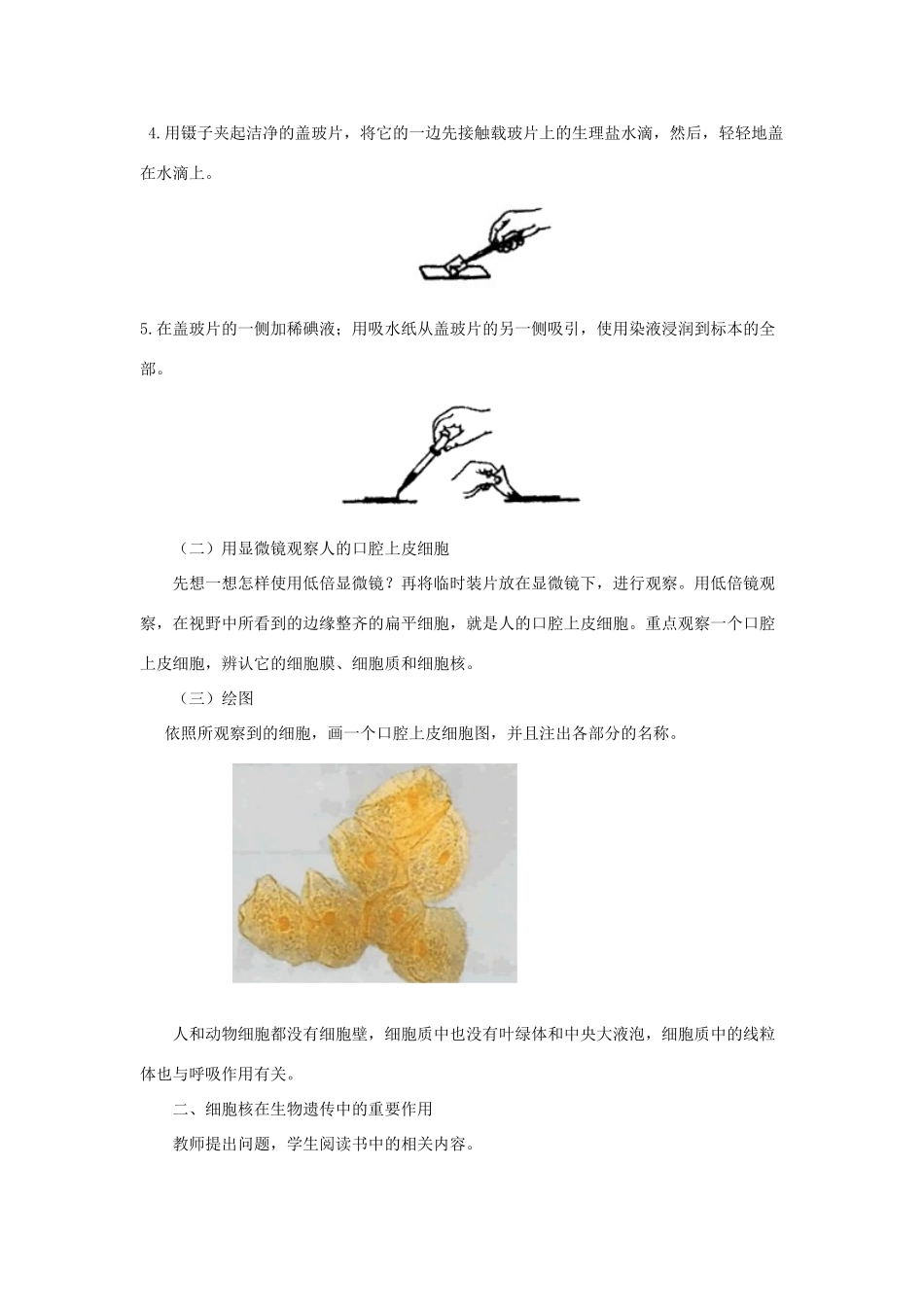 七年级生物上册《人和动物细胞的结构和功能》教案1 苏教版_第2页
